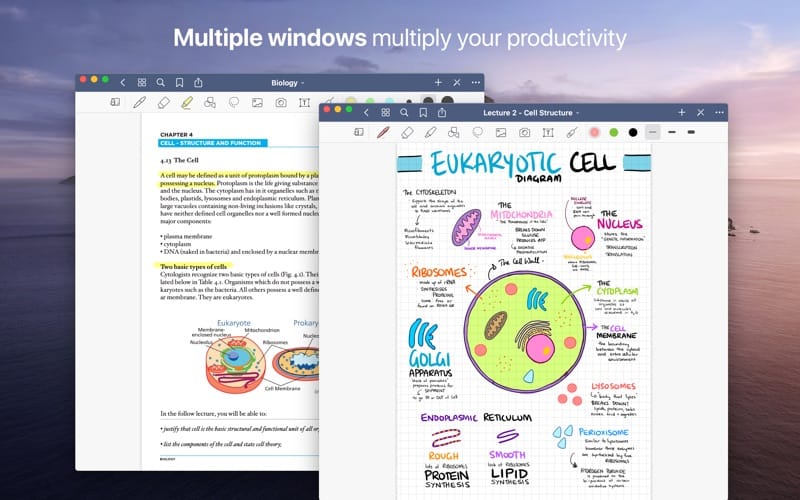 microsoft notes for mac