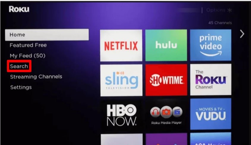 ‘search’ option in roku