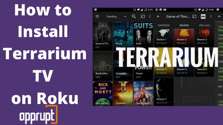 load terrarium tv on roku stick