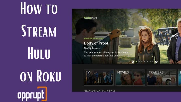 hulu on roku stick