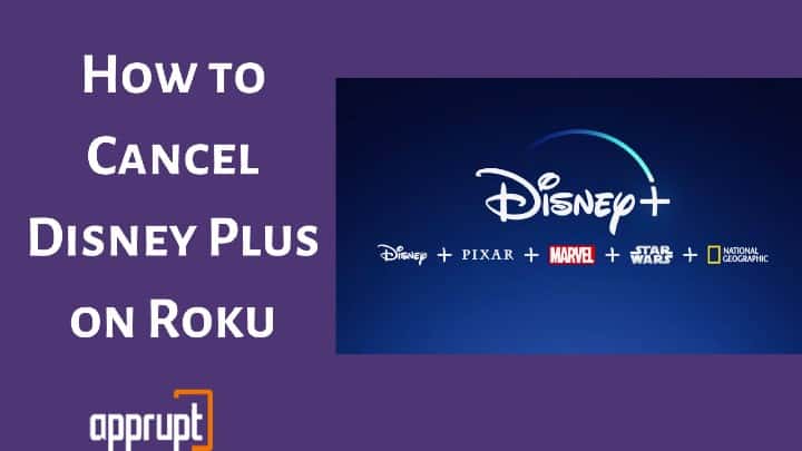 how to cancel disney plus subscription on roku