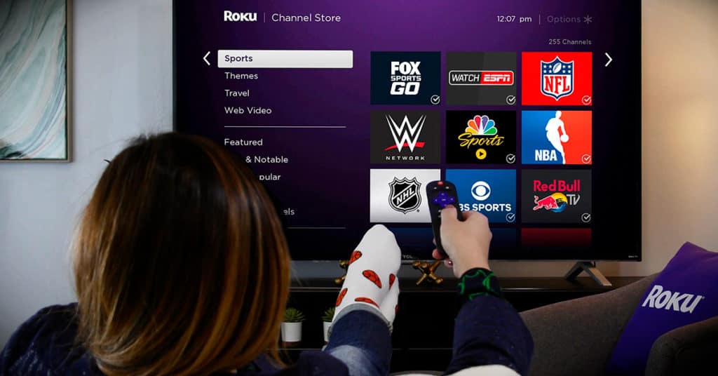 Roku Streaming Experience